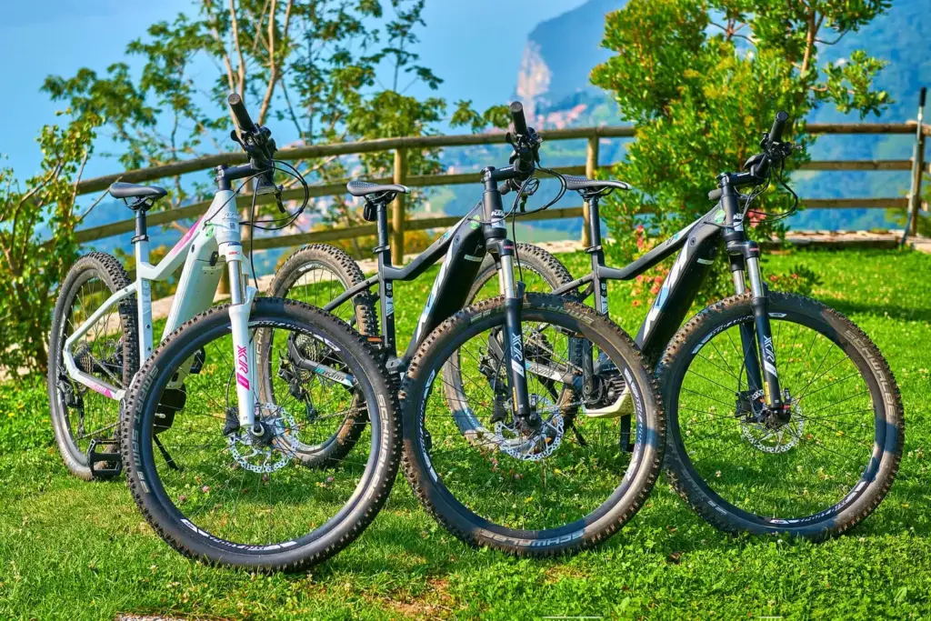 Tre mountain bike su prato con vista montagna.